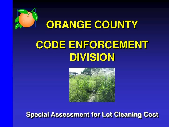 orange county code enforcement division special