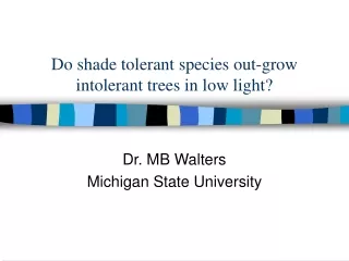 Do shade tolerant species out-grow intolerant trees in low light?