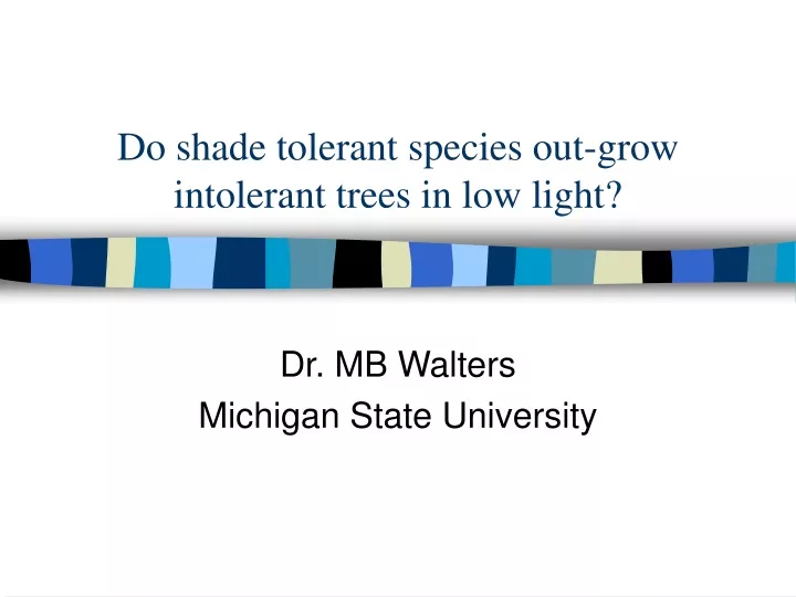 do shade tolerant species out grow intolerant trees in low light