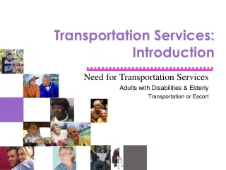 Transportation Services: Introduction