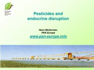 Pesticides and  endocrine disruption Hans Muilerman, PAN Europe pan-europe