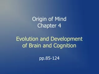 Origin of Mind Chapter 4 Evolution and Development of Brain and Cognition pp.85-124
