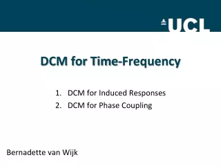 DCM for Time-Frequency