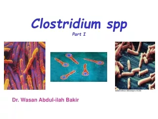 Clostridium spp Part I