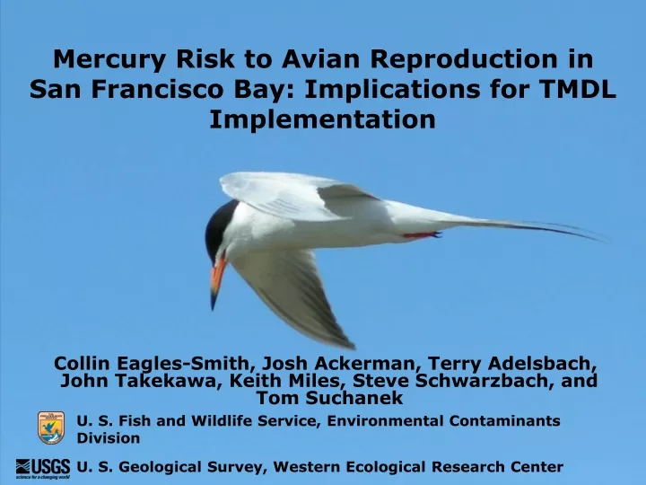 mercury risk to avian reproduction in san francisco bay implications for tmdl implementation