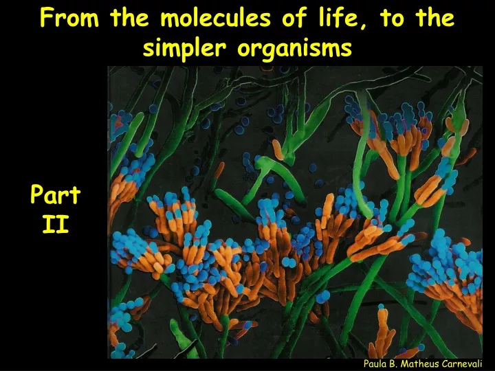 from the molecules of life to the simpler