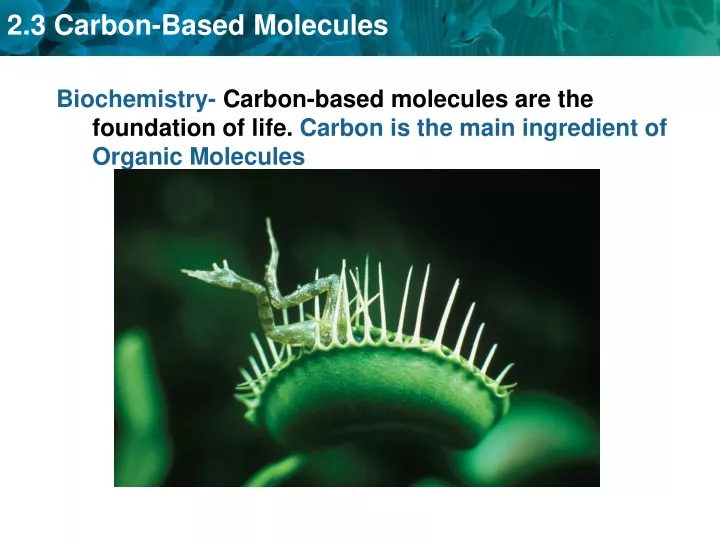 biochemistry carbon based molecules