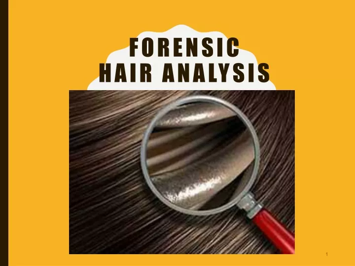 forensic hair analysis
