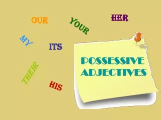 POSSESSIVE  ADJECTIVES