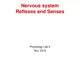 Nervous system Reflexes and Senses