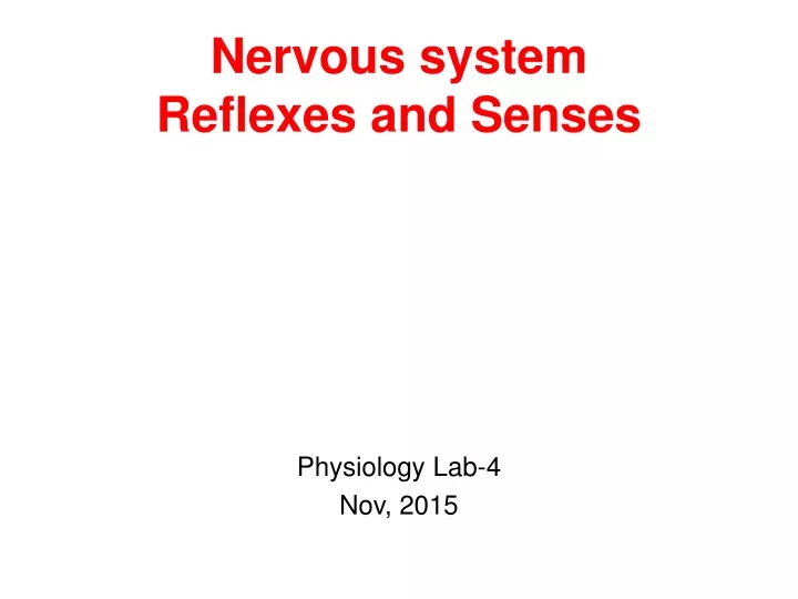 nervous system reflexes and senses