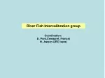 River Fish Intercalibration group