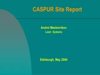 CASPUR Site Report