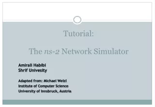 Tutorial: The  ns-2  Network Simulator
