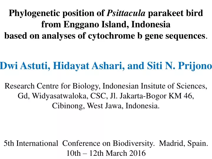 phylogenetic position of psittacula parakeet bird