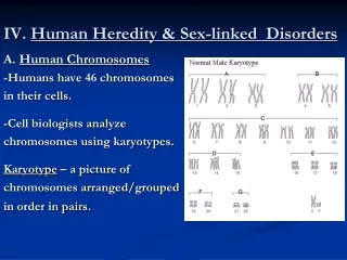 IV.  Human Heredity &amp; Sex-linked  Disorders