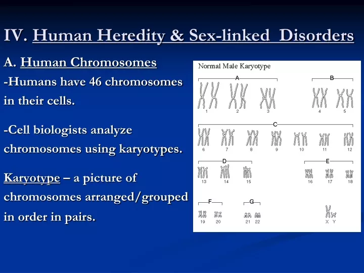 iv human heredity sex linked disorders