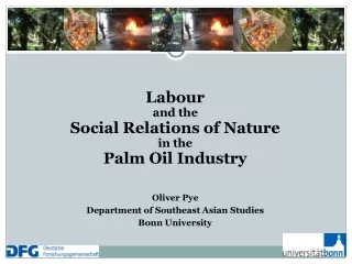 Labour and the  Social Relations of Nature in the  Palm Oil Industry  Oliver  Pye