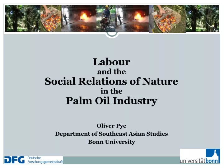 labour and the social relations of nature