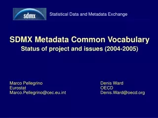 SDMX Metadata Common Vocabulary Status of project and issues (2004-2005)