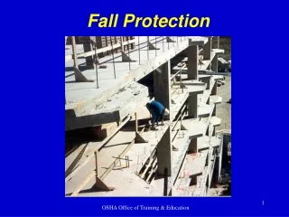 Fall Protection