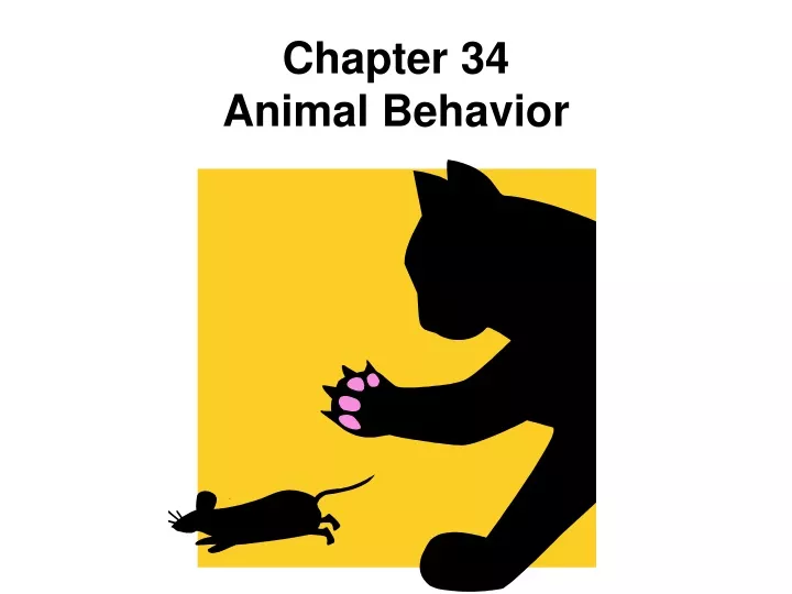 chapter 34 animal behavior