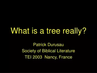 What is a tree really?