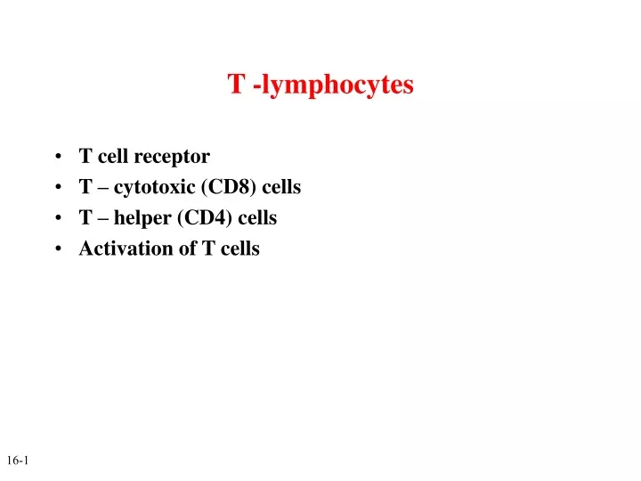 t lymphocytes