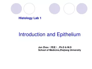 Histology Lab 1 Introduction and Epithelium
