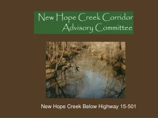 New Hope Creek Below Highway 15-501