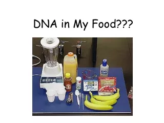 DNA in My Food???
