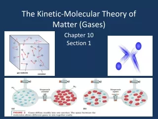 The Kinetic-Molecular Theory of Matter (Gases)