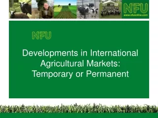 Developments in International Agricultural Markets: Temporary or Permanent
