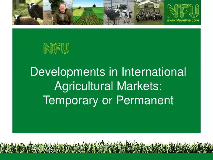 developments in international agricultural markets temporary or permanent