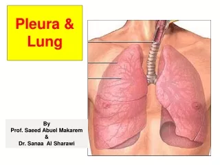 Pleura &amp;  Lung