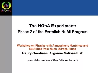 The NO n A Experiment: Phase 2 of the Fermilab NuMI Program