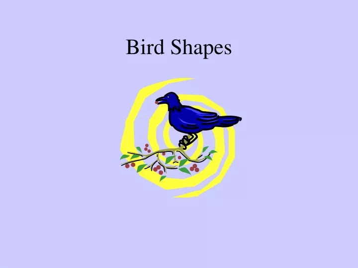 bird shapes