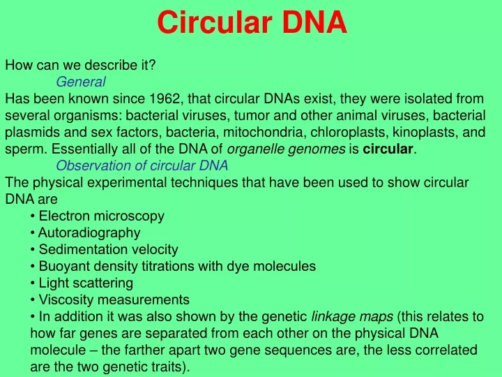 circular dna