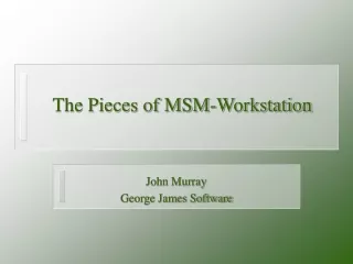 The Pieces of MSM-Workstation
