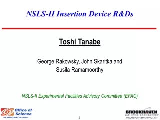 NSLS-II Insertion Device R&amp;Ds