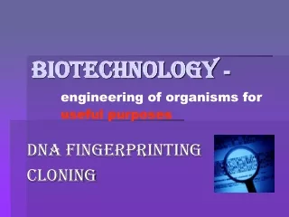 Biotechnology  - 	 engineering of organisms for 	 useful purposes