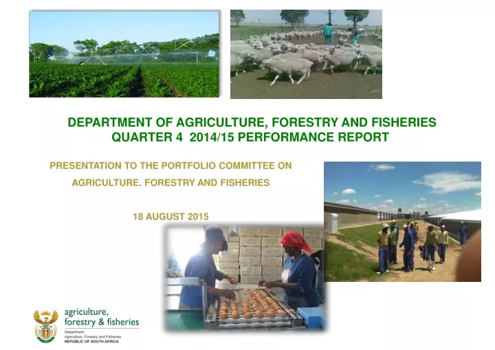 department of agriculture forestry and fisheries quarter 4 2014 15 performance report