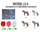 Exploring Genetic Variability: Beyond Dominance and Recessiveness - slide 1