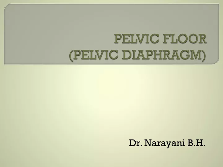 pelvic floor pelvic diaphragm