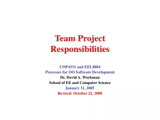 Team Project Responsibilities