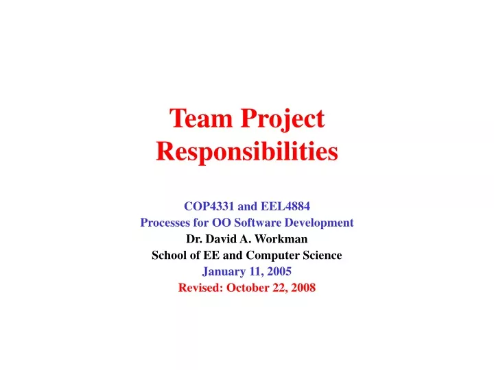 team project responsibilities