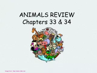 ANIMALS REVIEW Chapters 33 &amp; 34