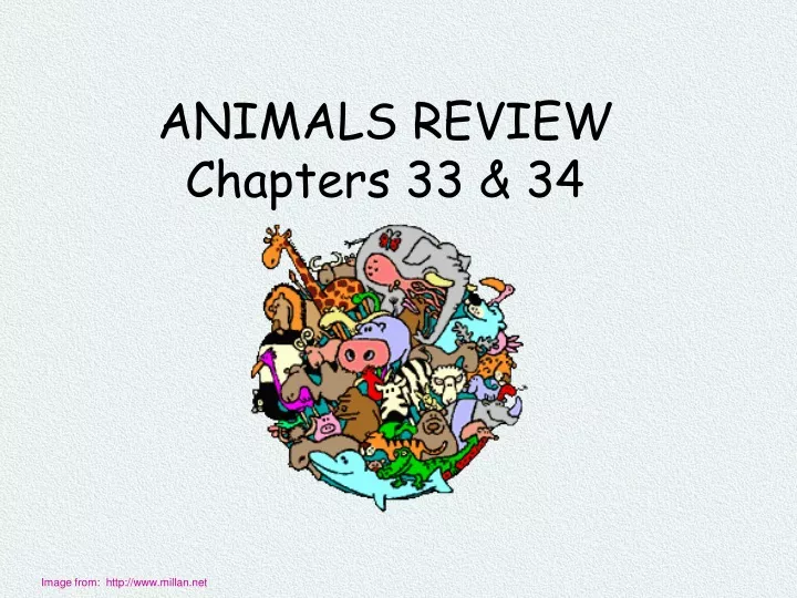 animals review chapters 33 34