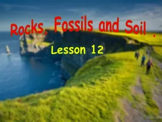 Rocks, Fossils and Soil  .