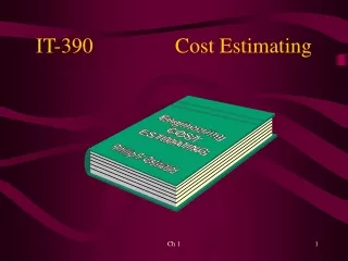 IT-390			Cost Estimating